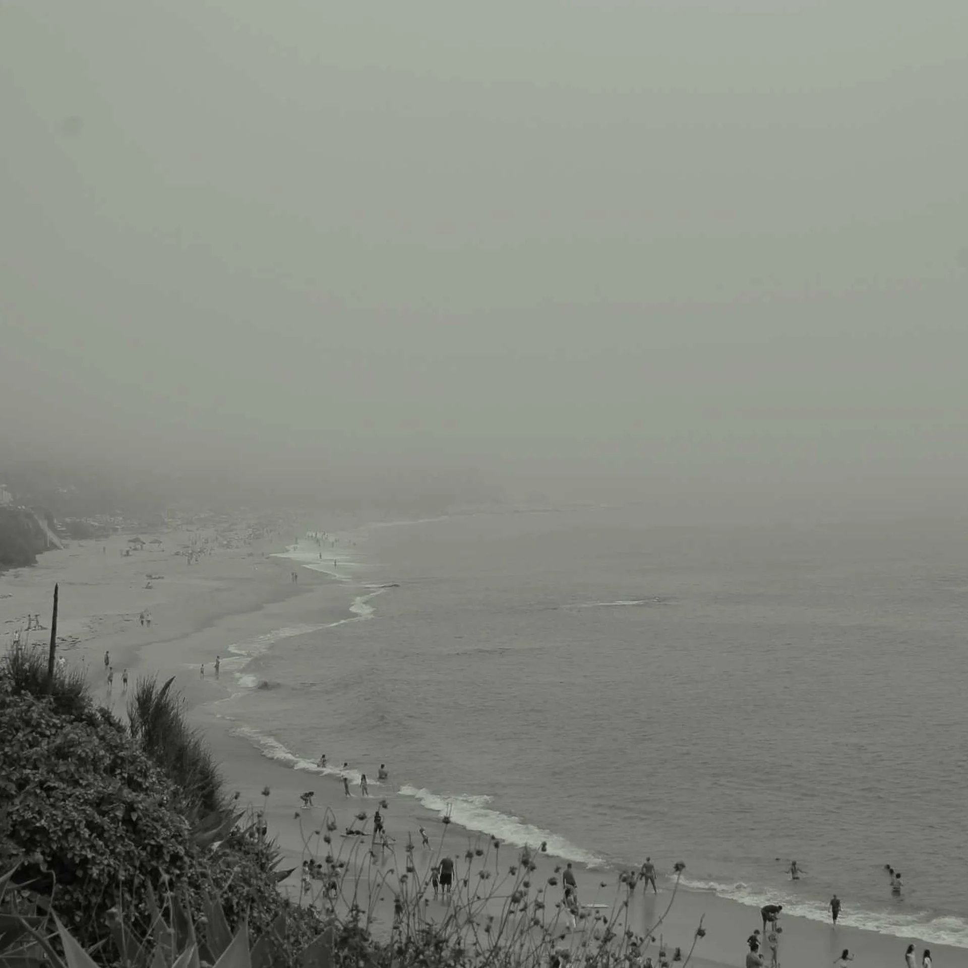 Close-up of green bamboo stalks showing natural segments and nodes in shallow depth of field Close-up of green bamboo stalks showing natural segments and nodes in shallow depth of field